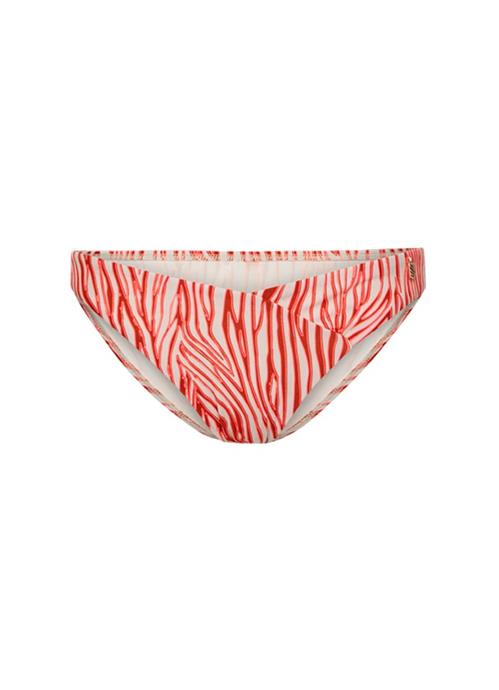 Neon Zebra V-detail bikini bottom 