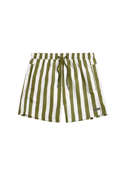 Stripe Pesto boys swim shorts 