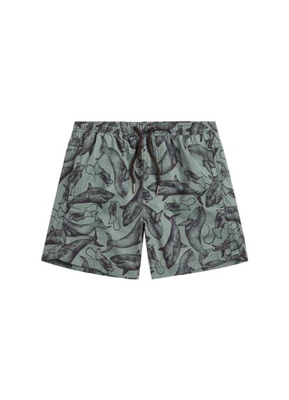 sea-life-boys-swim-shorts