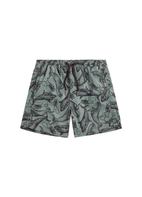Sea Life boys swim shorts 
