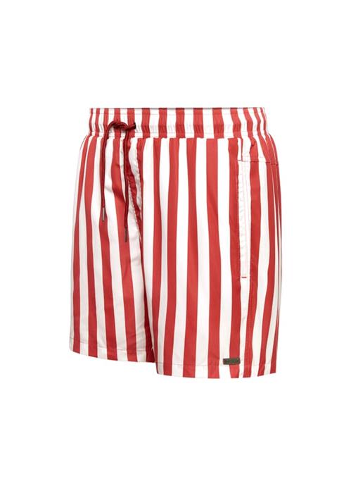 Stripe Garnet men's swim shorts 