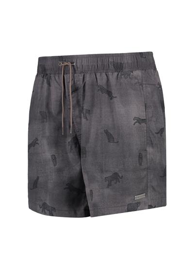 Safari Grey swim shorts 