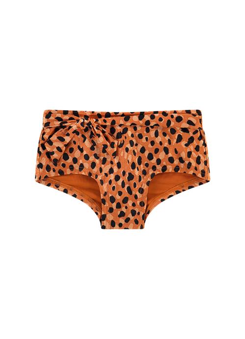 Leopard Spots girls bikini shorts 