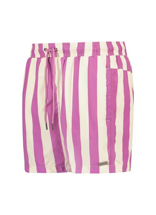 Stripe Violet men's swim shorts 