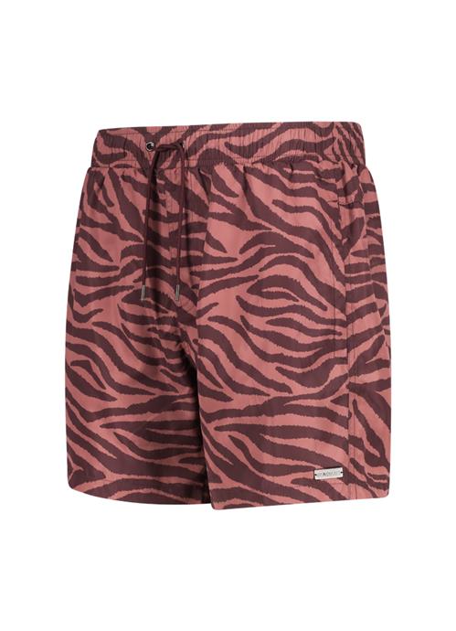 Zebra men swim shorts 