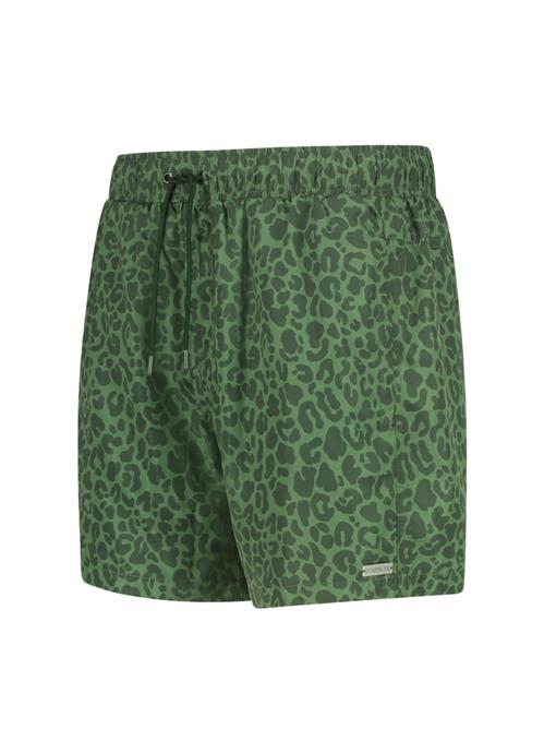 Safari Green men swim shorts 