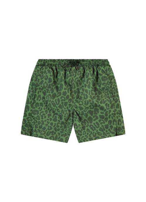 Safari Green boys swim shorts 