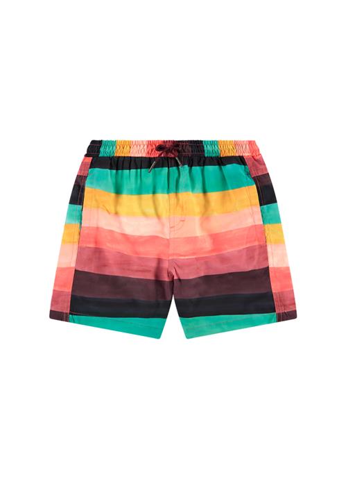 Watercolor boys swim shorts 